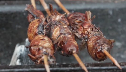 太恐怖东北的黑暗烧烤料理让广东人都甘拜下风