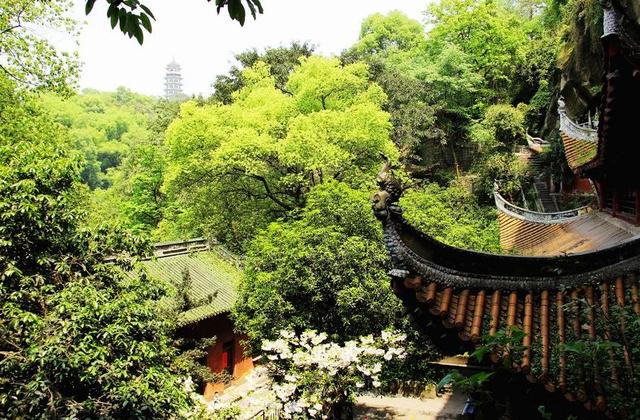 华岩八景入茶是什么味道