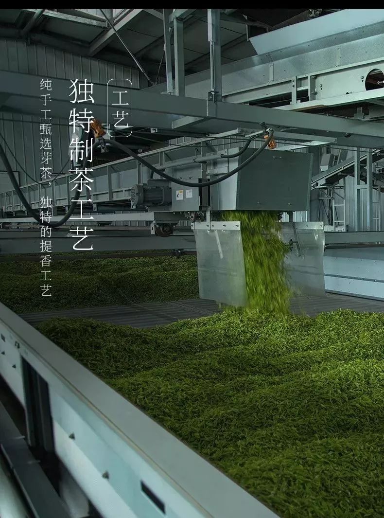 峨眉高山绿茶竹叶青中国高端绿茶领导者