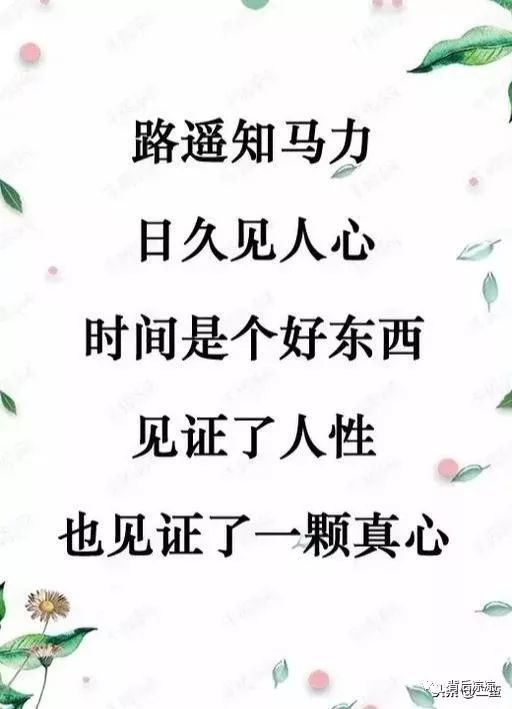 虚伪,永远换不来真心!(写得真好)