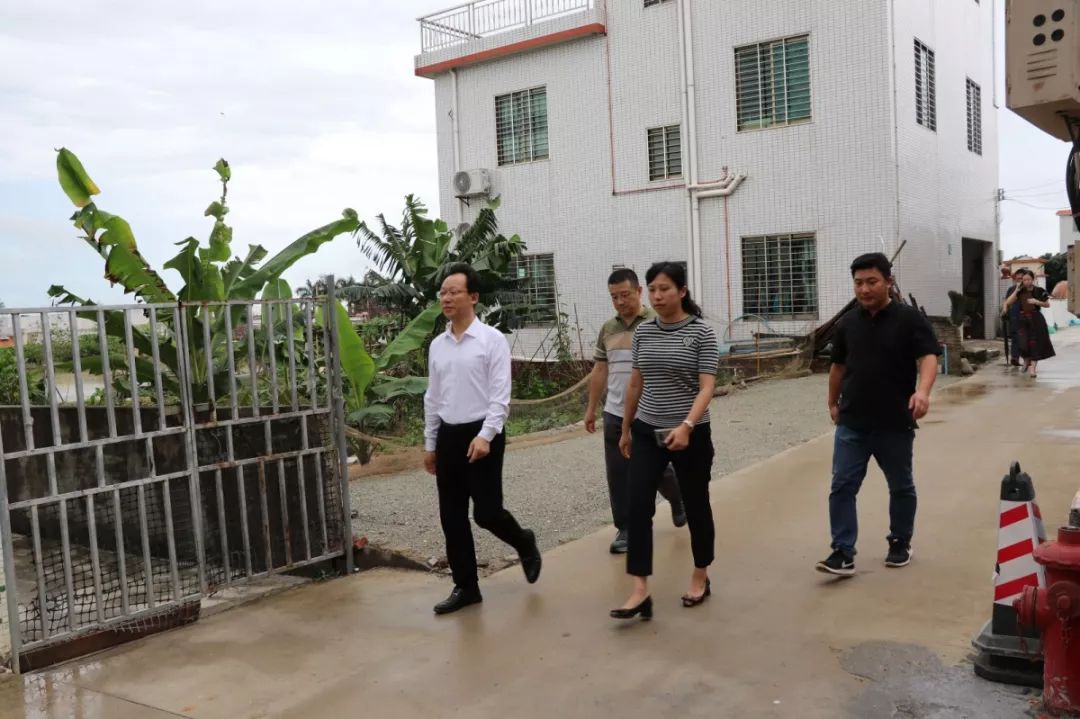 区领导到万顷沙镇调研