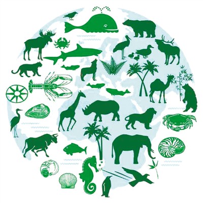 生物多样性 我们的生命(新时代新步伐)_保护