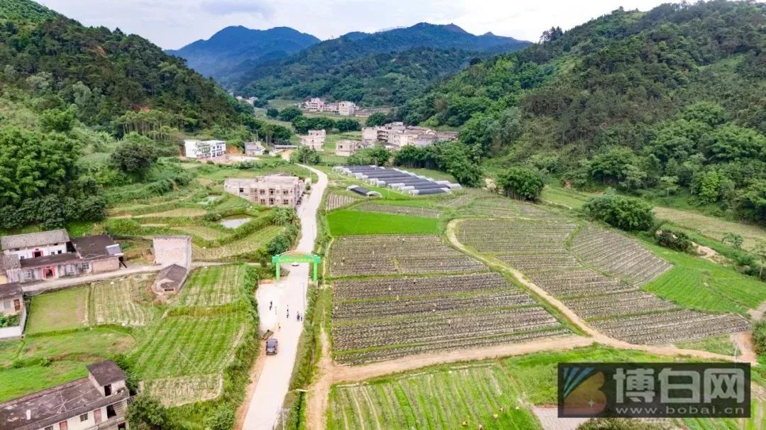 博白双凤圣女岭,正在发生翻天覆地的巨变!_双凤镇