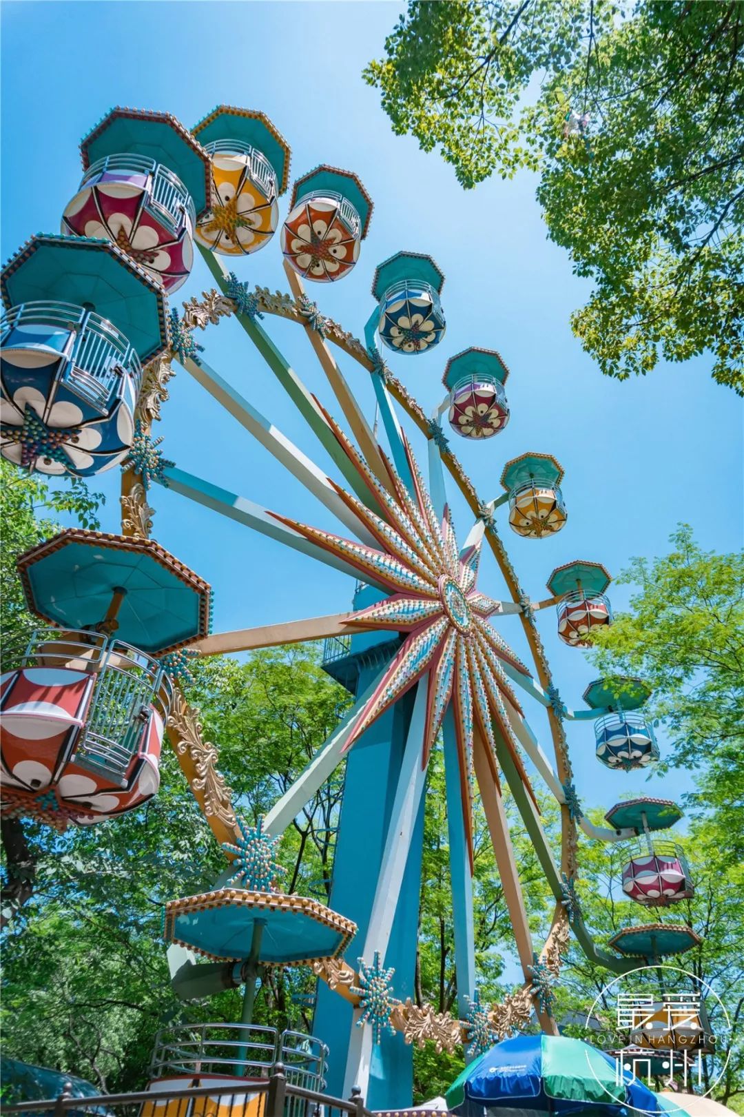 3元一次的旋转木马4元一圈的摩天轮却是杭州人千金难买的甜蜜回忆