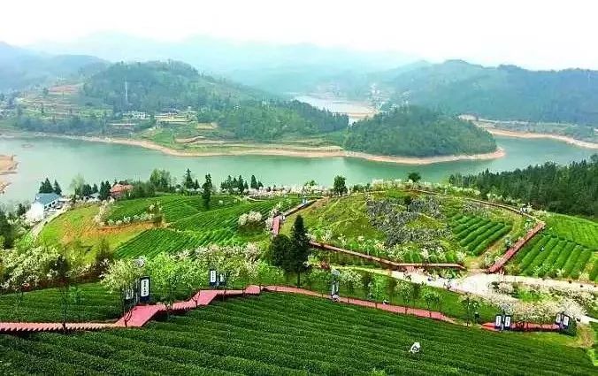 二龙茶园老林河景区位于余庆县关兴镇高炉村,这里的夏天是清凉的世界