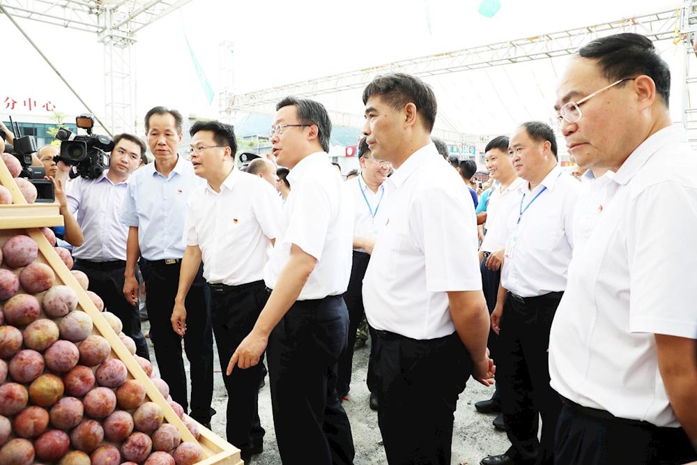 许志晖(右三),林炎(右一),邓惠林(右二),王土瑞