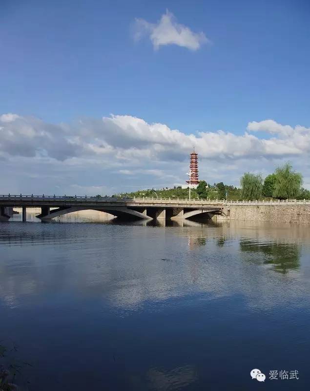 临武的这些桥你都见过吗