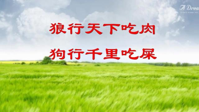 狼行天下吃肉狗行千里吃屎人生哲理