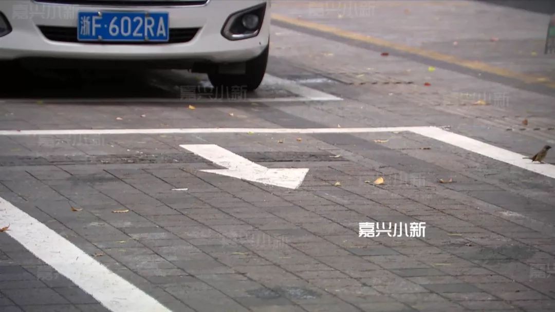 这个箭头是啥意思嘉兴市区停车位有了新变化