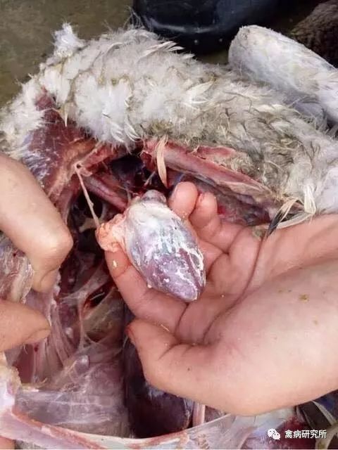 症状