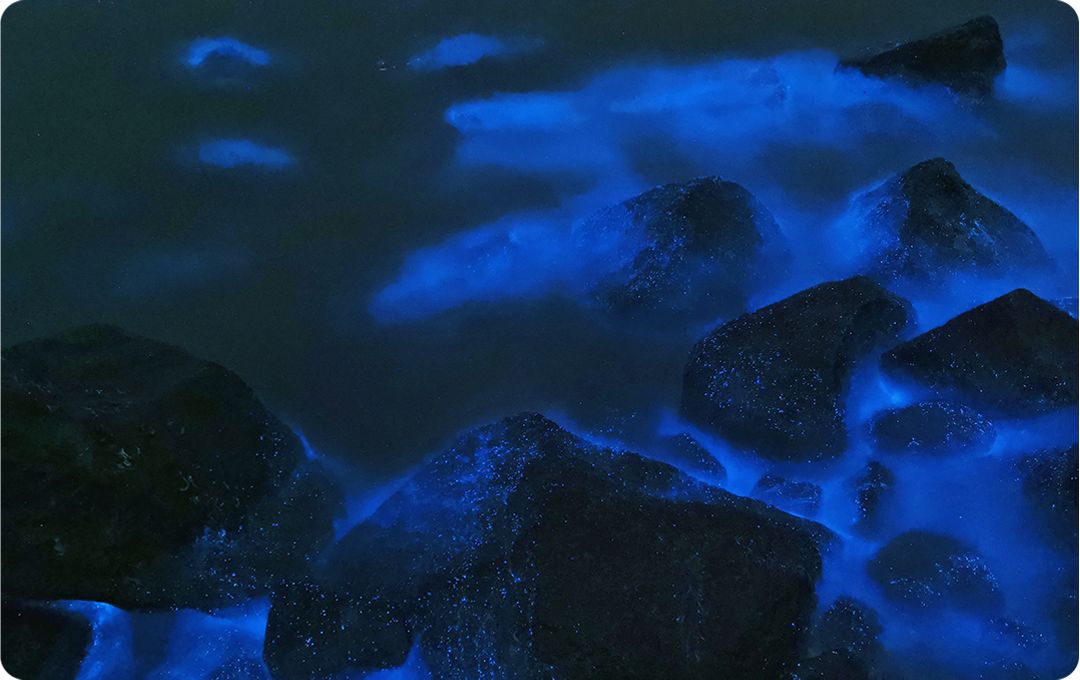 huaweip30系列带你去看荧光海