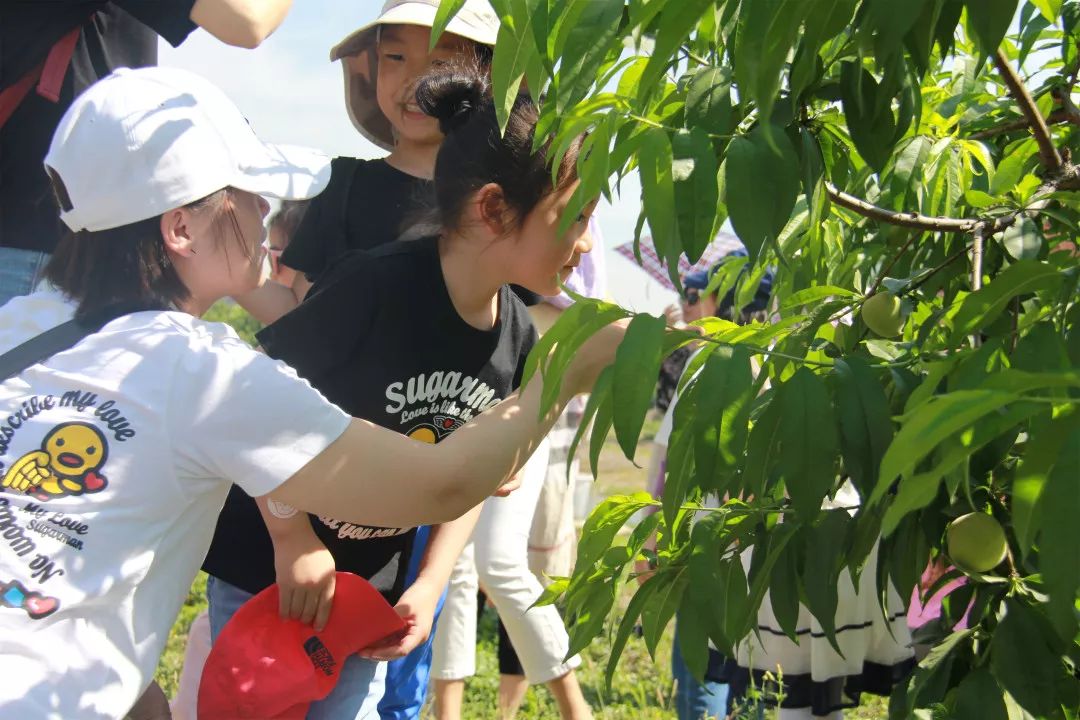 家园手拉手亲子农家乐记徐泾第二幼儿园家长工作室成员亲子游活动