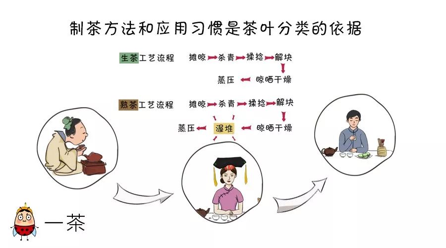 来来来为你破解茶叶颜色和分类的密码