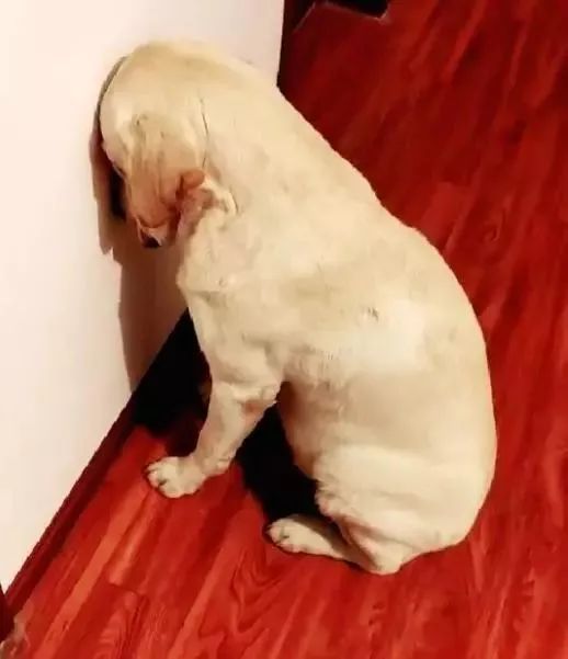 5,出国过安检,工作人员仔细检查了我护照照片和我的本人,说照片和本人