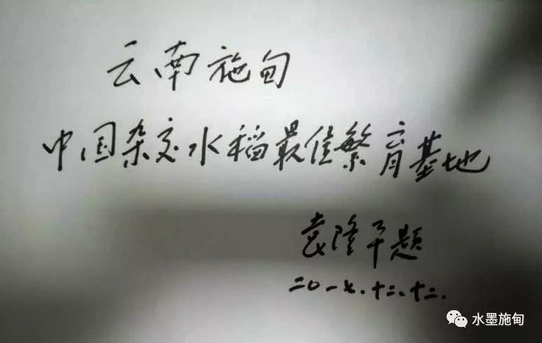世界杂交水稻之父,中国工程院院士袁隆平,见到来访的施甸县县长李文广