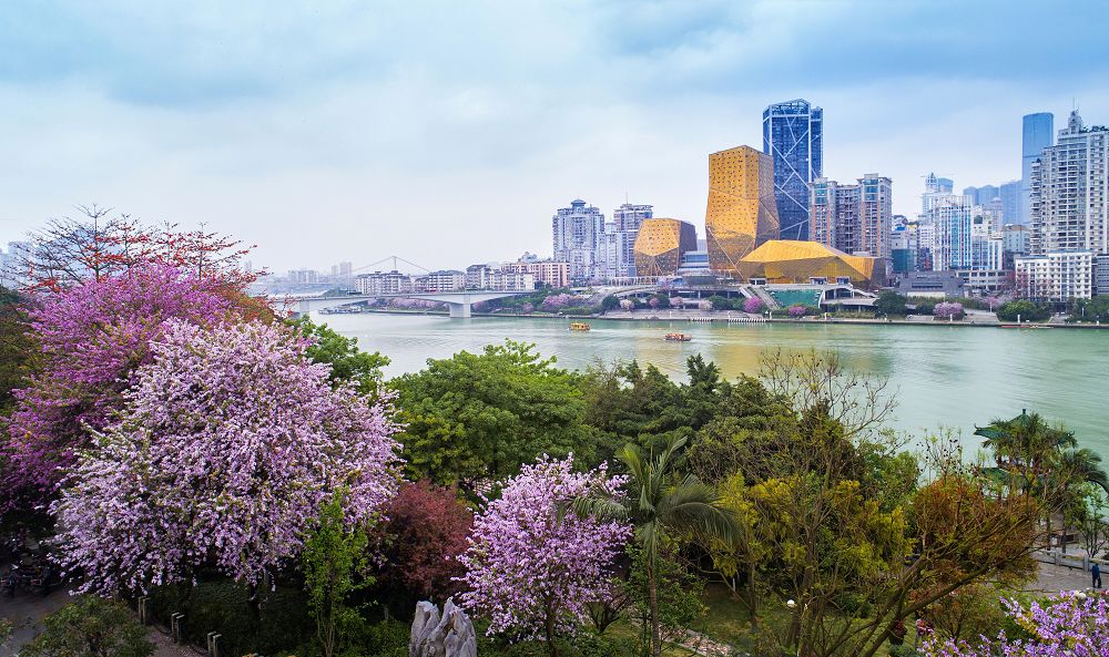 2019th中国杭州城市土地展参展城市紫荆花城醉美柳州