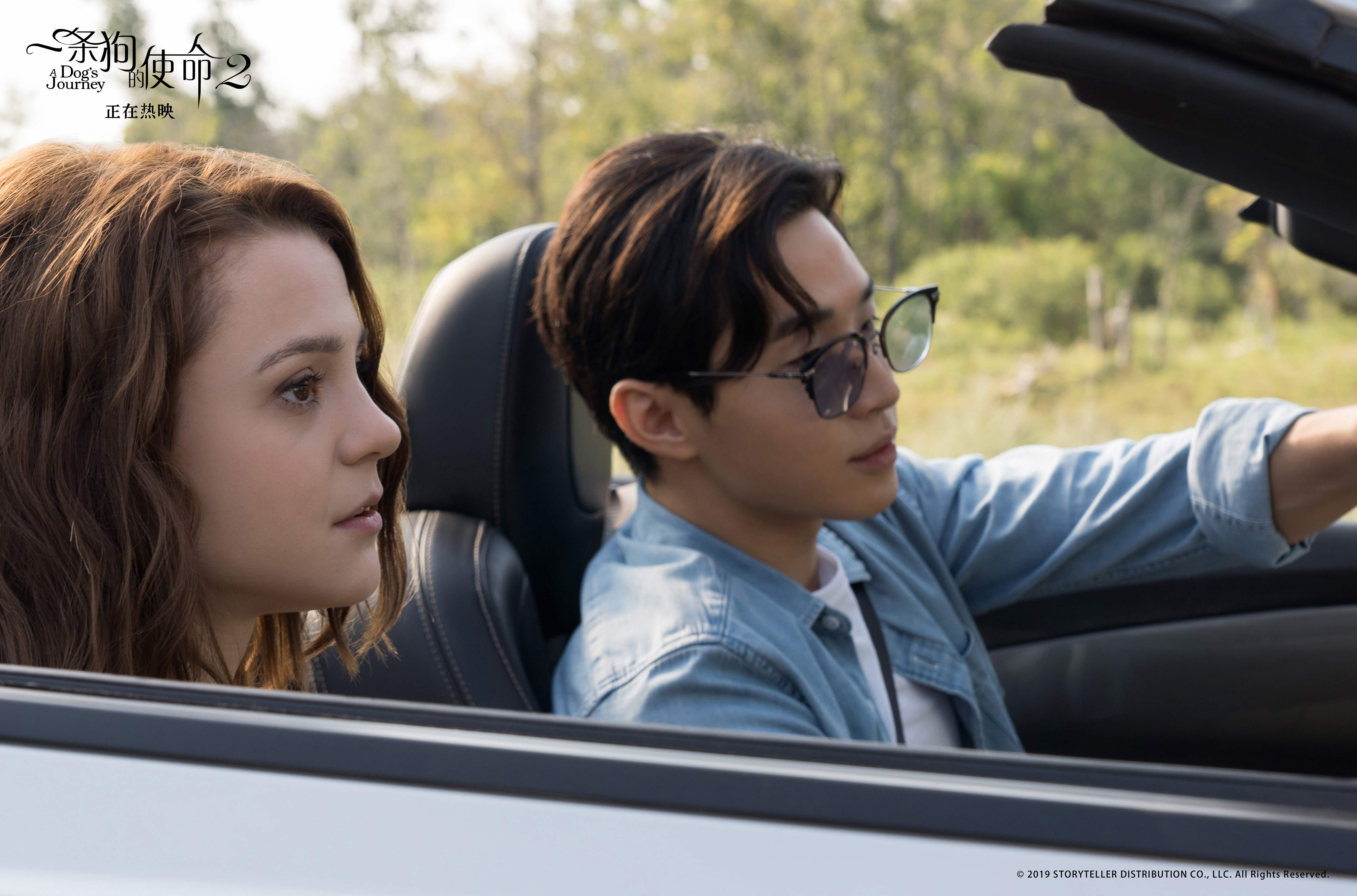 太颠覆一条狗的使命2刘宪华光头造型引热议