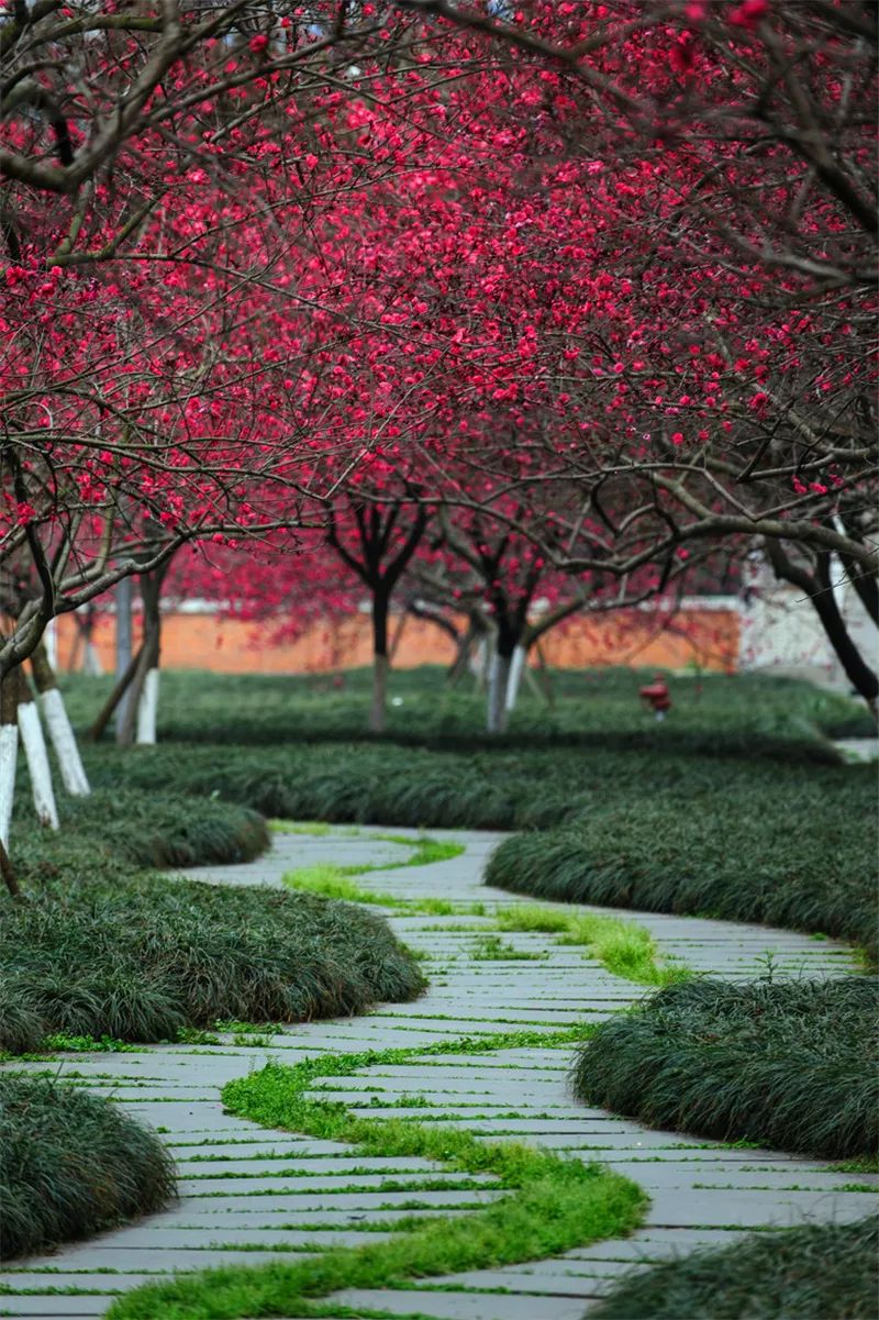 流线型景观设计与自然的巧妙结合