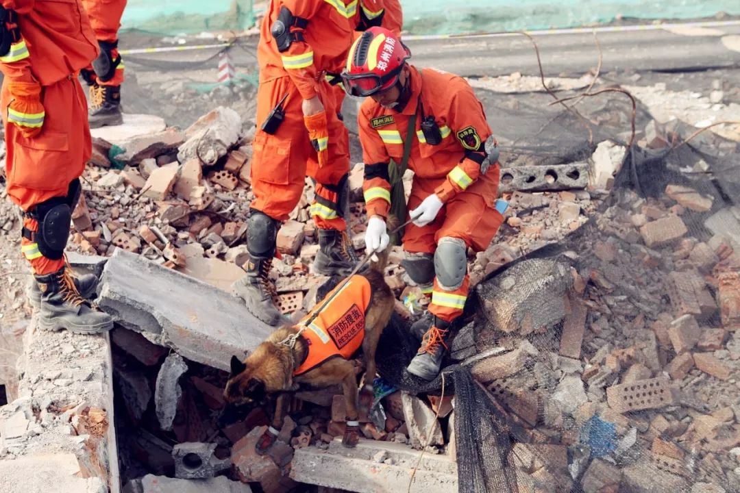省消防总队组织豫中战区跨区域地震救援实战拉动演练