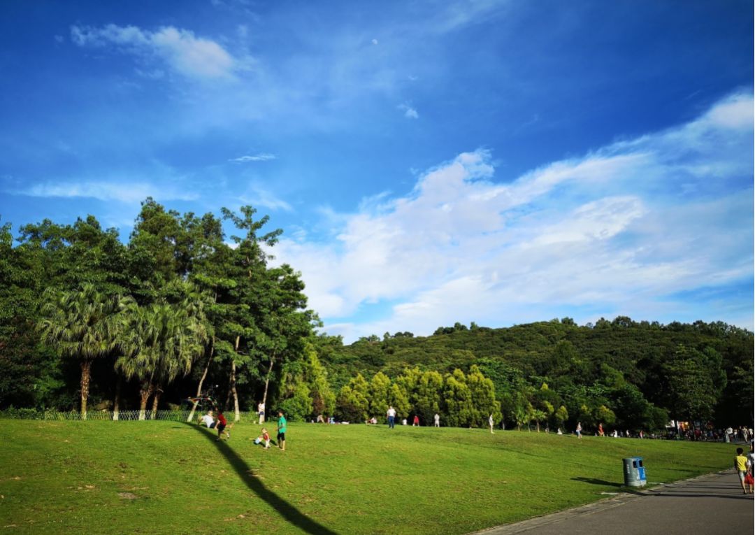 全部免费宝安这14个绝美景点松岗人周末走起打卡