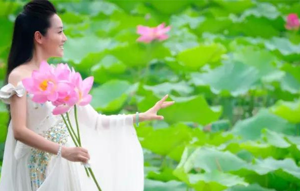 《淡雅清香扑面来》的扑面来 ——《淡雅清香扑面来》读后感_荷花