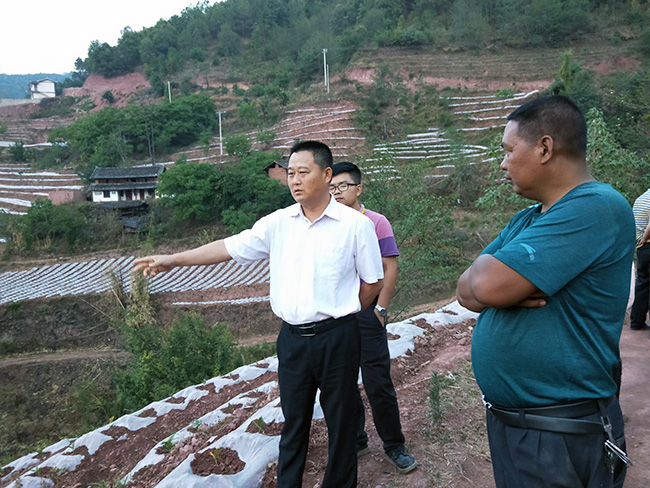 罗舜调研抗旱保民生工作