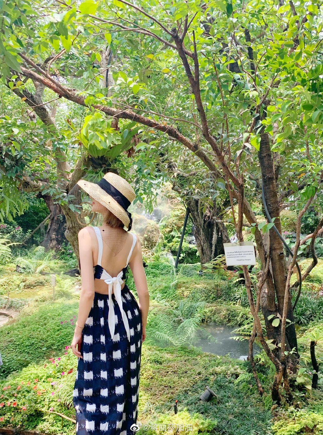 原创陈浩民晒度假照,妻子穿露背波点裙显少女,网友:哪像4个孩子妈