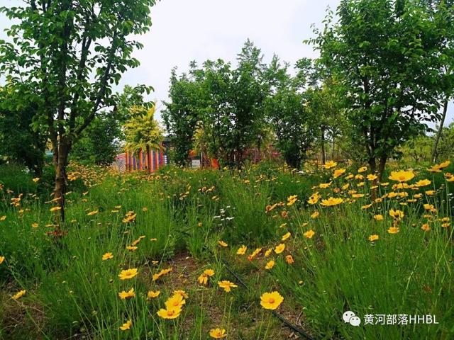 菏泽黄河部落门票限时免费领黄河风情泼水节水上乐园水枪大战等精彩