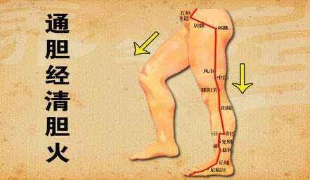 胆经在大腿准确位置图片