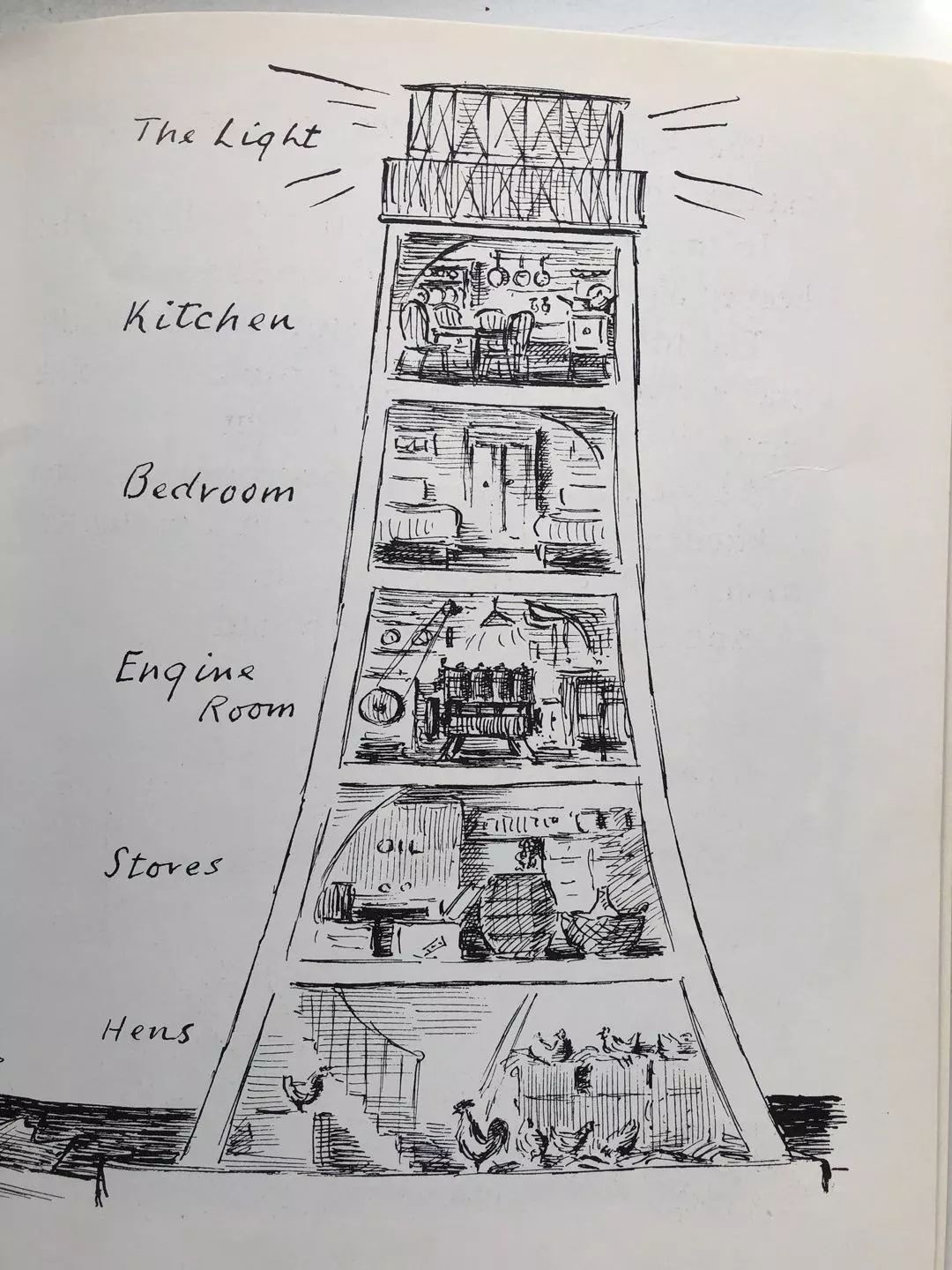 她被称为绘本界的"锦鲤",秘密在哪里?_灯塔