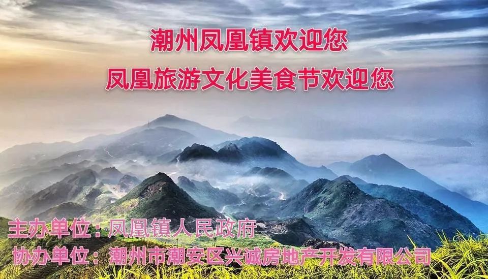 政府主办单位:潮州市潮安区凤凰镇凤凰新城-乃兴旅游集散中心门口广场