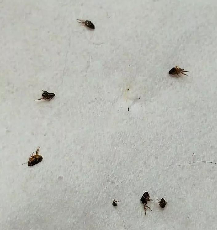 男子独自行驶在无人公路上,发现前方有两个小黑点在移动