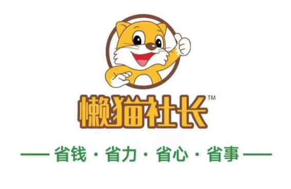 懒猫社长图片