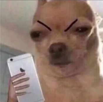 最全沙雕狗子表情包合辑年度最傻狗子都在这儿了