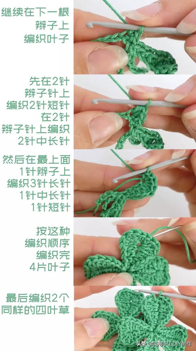四叶草花的织法图片