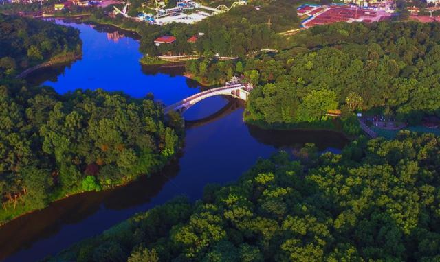 华岩八景入茶是什么味道