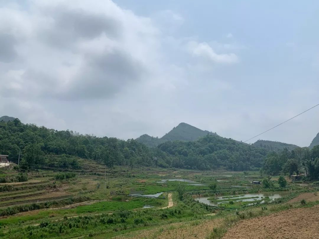 关岭花江镇青安共建小龙虾产业助农增收脱贫