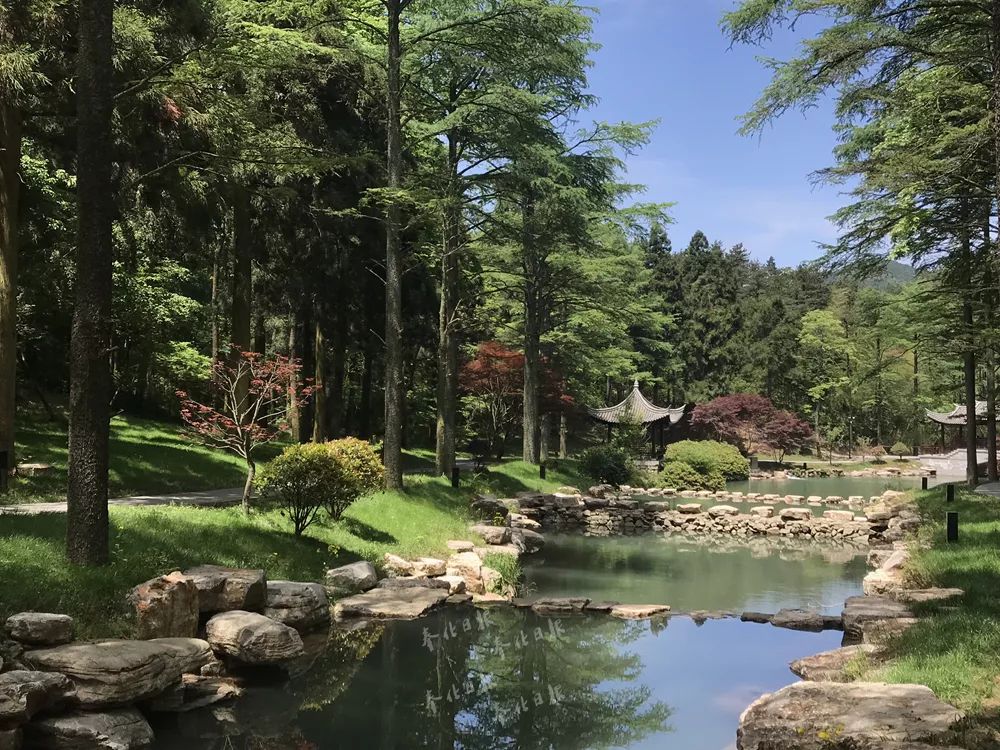 商量岗再添新景观!小伙伴们先睹为快!