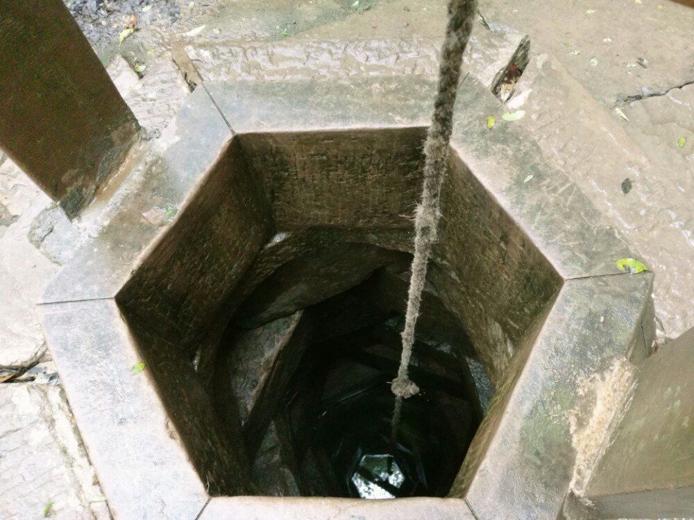 漫天飞舞的杨树毛毛干涸了的井其实就在我们身边