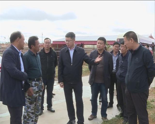 县委书记王兵深入部分乡镇开展调研