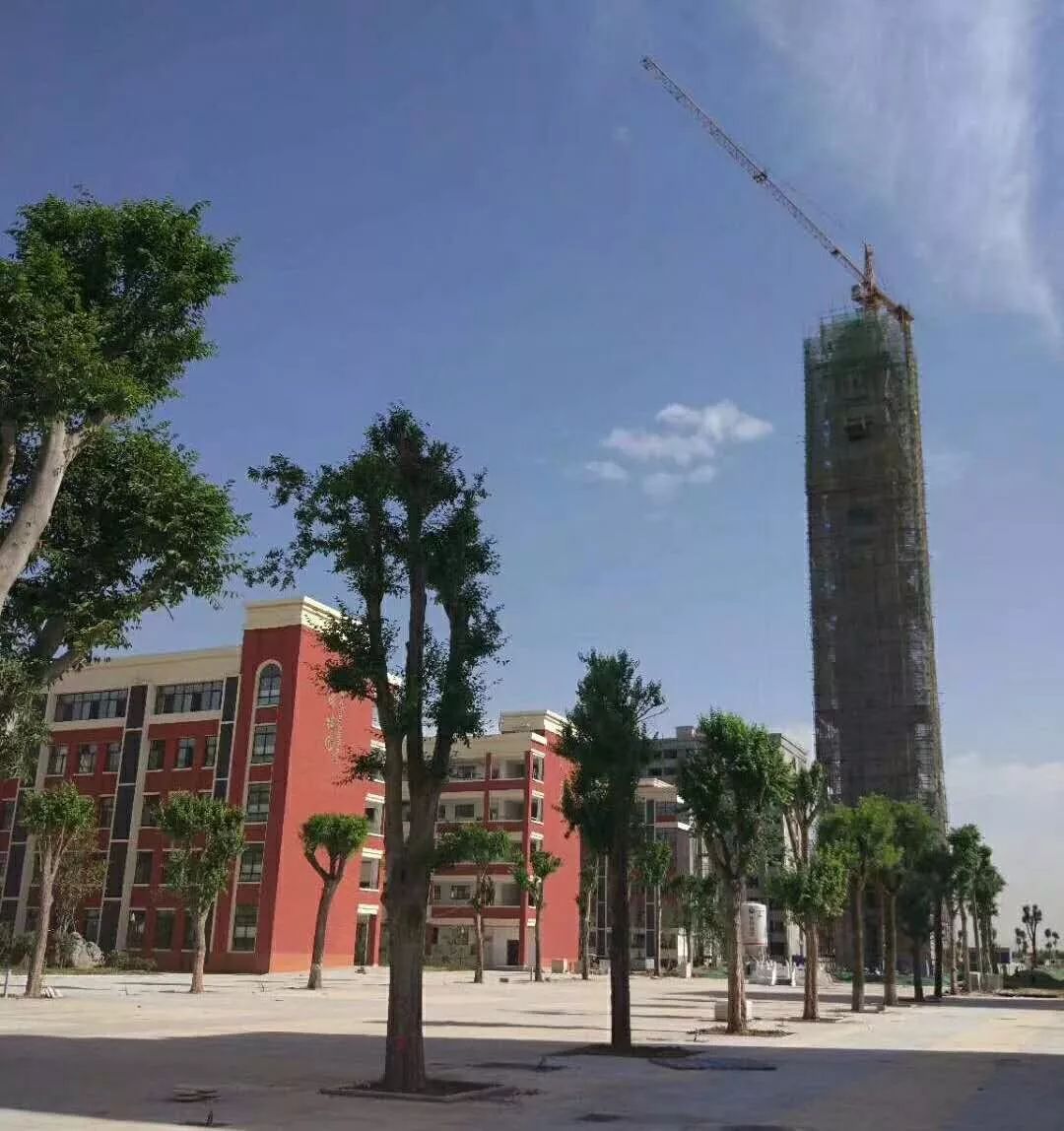 禹州新添一所国际化高中!