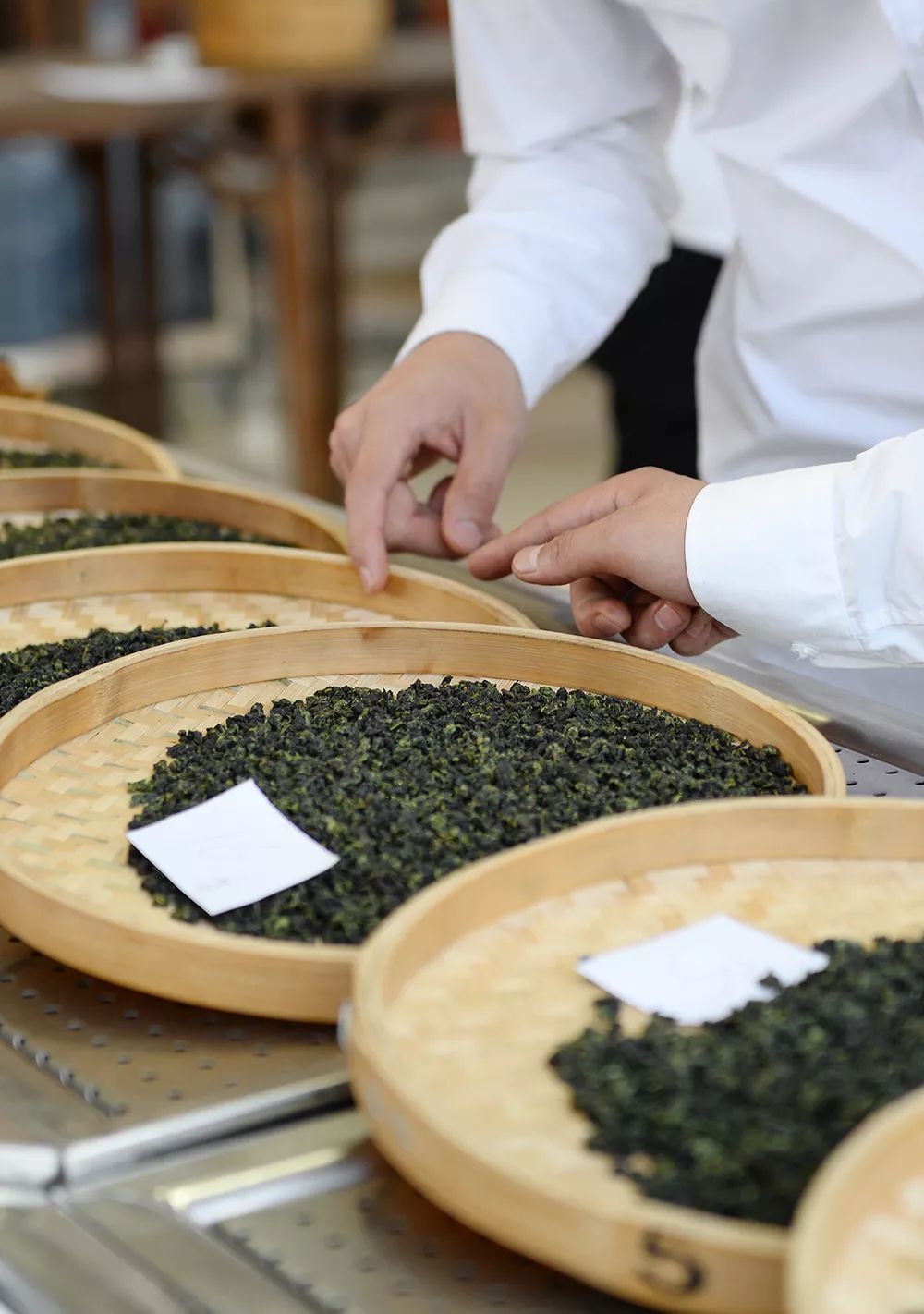 醉西施茶王赛 | 66万奖金本周将被瓜分!