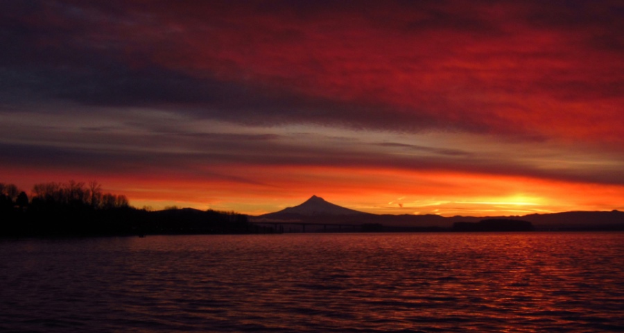 今年家电业“最可怕”的事情发生了：一线大牌走低价路线-家电圈官网