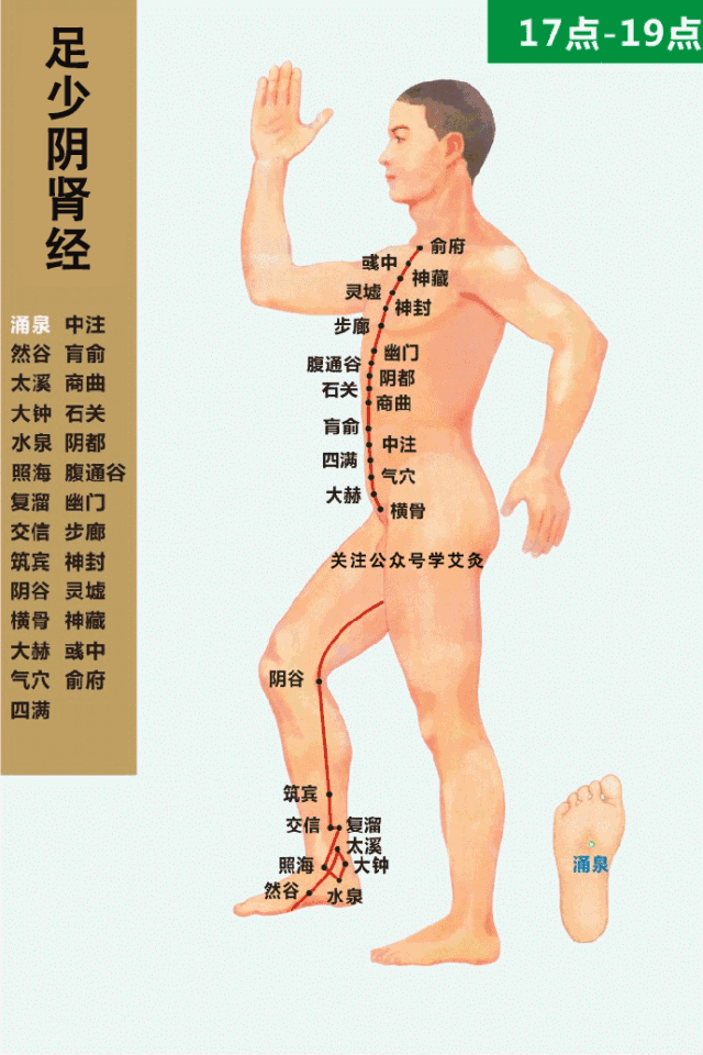 经络循行动画图人体主要穴位都有赶紧收藏