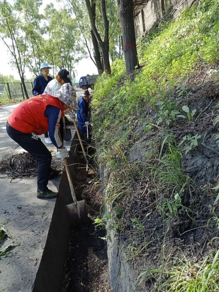 社区风采下石节社区自发组织清理道路水沟保障辖区道路排水畅通