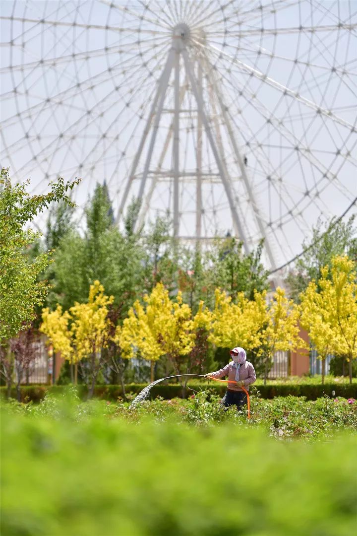 最是一年风光好绿化固原正当时