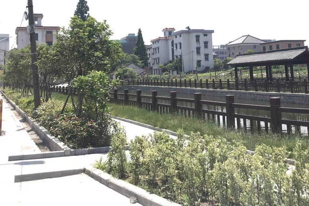 整治后大池溇村整治前整治后八里桥村整治前整治后三盈村整治前整治后