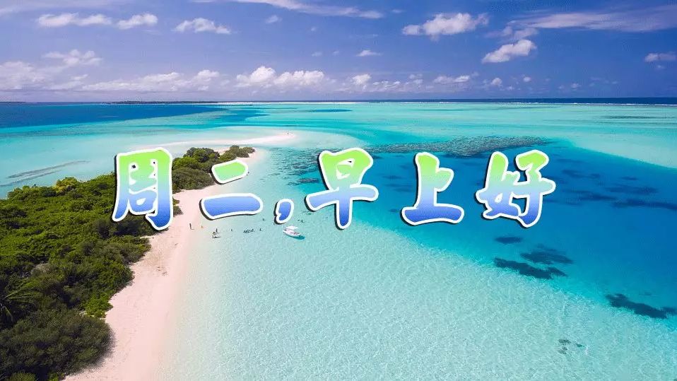 周二你好把握好每一个今天