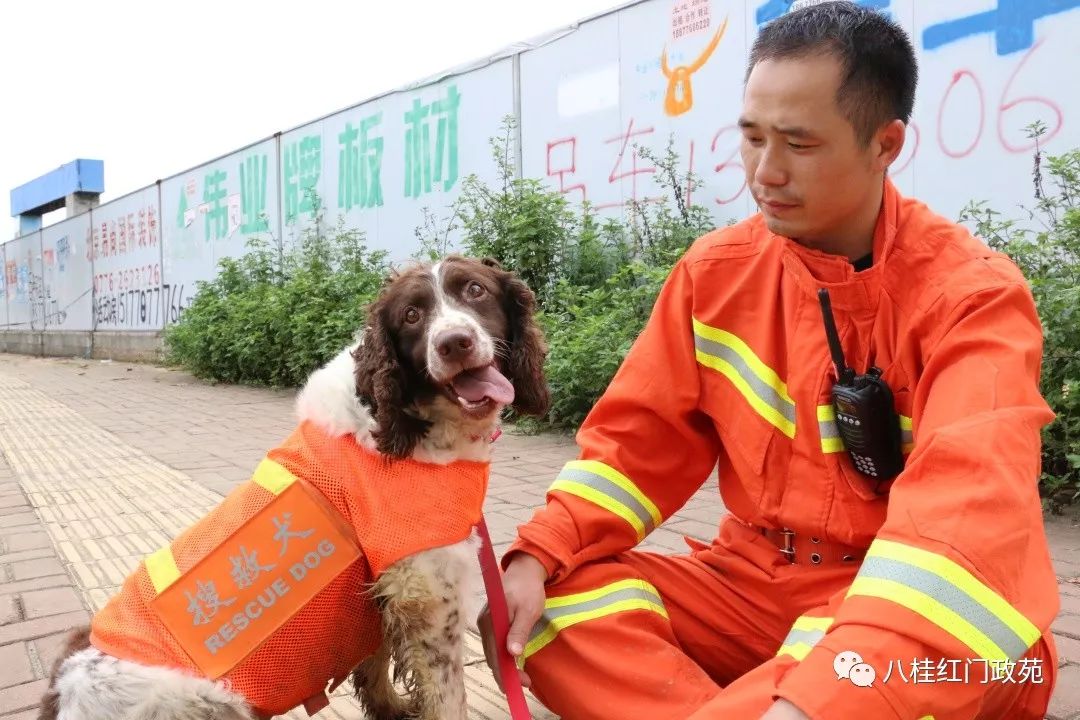 搜救犬露露 露露,史賓格牧羊犬,2012年3月服役,訓導員陳芳橋.