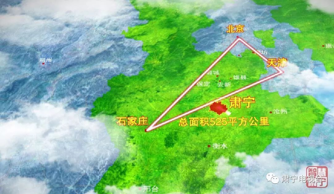 肃宁网站优化贵不贵 来自搜狐网